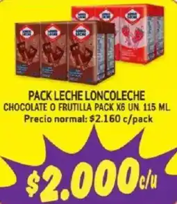 Mayorista 10 Pack leche loncoleche chocolate o frutilla oferta