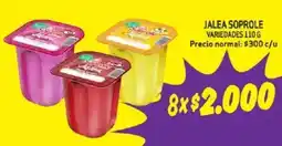 Mayorista 10 Jalea soprole variedades oferta