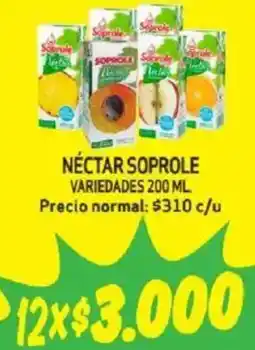 Mayorista 10 Néctar soprole variedades oferta