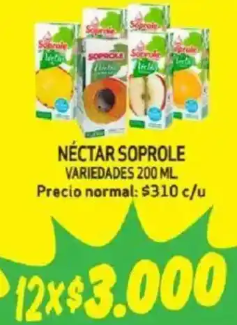 Mayorista 10 Néctar soprole variedades oferta