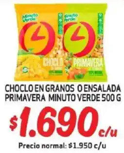 Mayorista 10 Choclo primavera choclo en granos o ensalada primavera minuto verde oferta