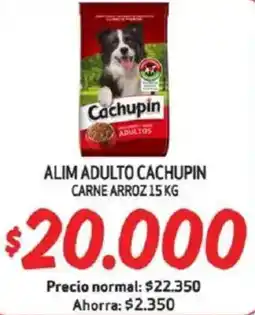 Mayorista 10 Cachupin alim adulto carne arroz oferta