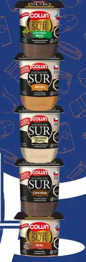 Provimarket Postres del sur chocolate, manjar, moka, chocolate blanco, chocolate & menta oferta