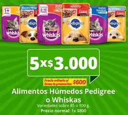 Unimarc Pedigree o whiskas alimentos húmedos oferta