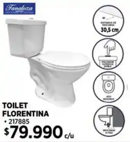 Construmart Fanaloza toilet florentina oferta