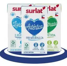 Provimarket Surlat leche oferta