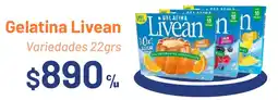 Provimarket Livean gelatina variedades oferta