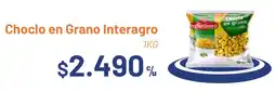 Provimarket Choclo en grano interagro oferta