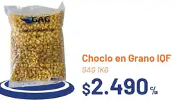 Provimarket Gag choclo en grano iqf oferta