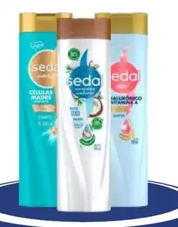 Provimarket Sedal Shampoo Variedades oferta
