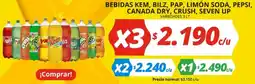 Unimarc Bebidas kem, bilz, pap, limón soda, pepsi, canada dry, crush, seven up variedades oferta