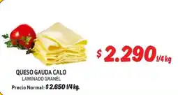 Mayorista 10 Calo queso gauda oferta