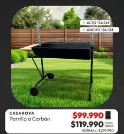 Abcdin Casanova parrilla a carbon oferta