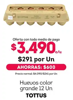 Tottus Tottus huevos color grande oferta