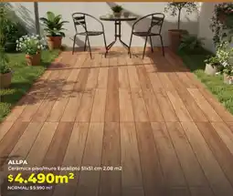 Easy Allpa cerámica piso/muro eucalipto oferta