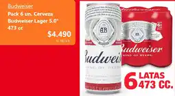 Santa Isabel Budweiser lager cerveza 5.0° oferta