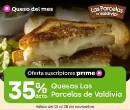 Jumbo Quesos las parcelas de valdivia oferta