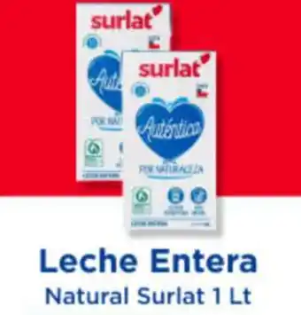Surlat leche entera natural