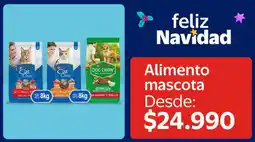 Lider Alimento mascota oferta
