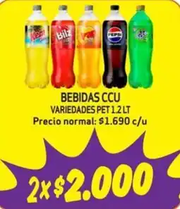 Mayorista 10 Bebidas CCU oferta