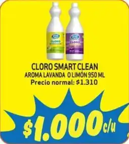 Mayorista 10 Smart Clean cloro oferta