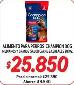 Mayorista 10 Champion Dog alimento para perros oferta