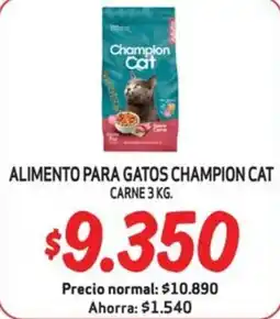 Mayorista 10 Champion Cat alimento para gatos oferta