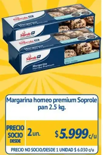 Alvi Margarina Homeo Premium Soprole pan 2.5kg oferta