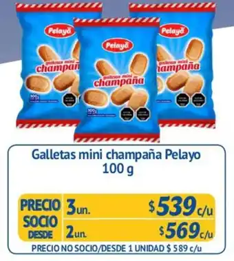 Alvi Galletas Mini Champaña Pelayo 3un 100g oferta