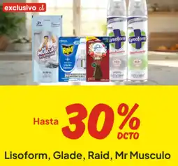 Unimarc Lisoform, glade, raid, mr musculo oferta