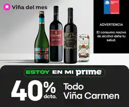 Jumbo Viña Carmen oferta