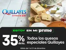 Jumbo Quillayes quesos especiales oferta