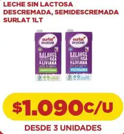 Comercial Castro Leche sin lactosa descremada, semidescremada surlat oferta