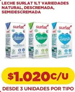 Comercial Castro Surlat leche variedades natural, descremada, semidescremada oferta