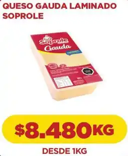 Comercial Castro Soprole queso gauda laminado oferta