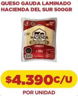 Comercial Castro Hacienda del sur queso gauda laminado oferta