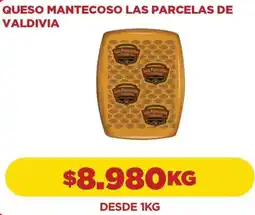 Comercial Castro Las parcelas de valdivia queso mantecoso oferta