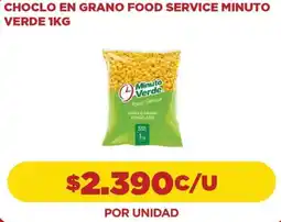 Comercial Castro Minuto verde choclo en grano food service oferta