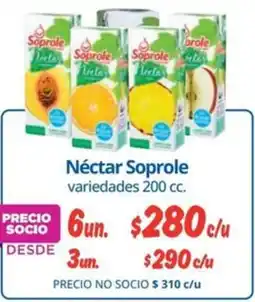 Alvi Soprole néctar variedades oferta