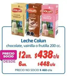 Alvi Colun leche oferta