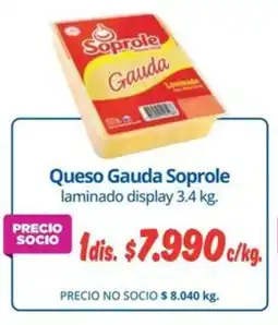 Alvi Soprole queso gauda oferta