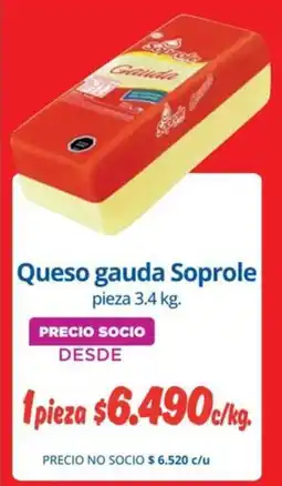 Alvi Soprole queso gauda oferta