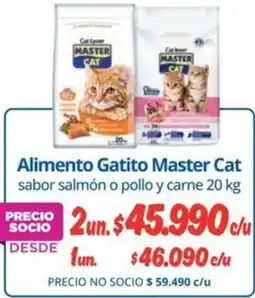 Alvi Master cat alimento gatito sabor salmón o pollo y carne oferta