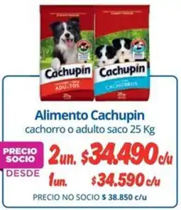Alvi Cachupin alimento cachorro o adulto saco oferta
