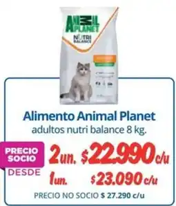 Alvi Animal planet alimento adultos nutri balance oferta