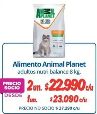 Alvi Animal planet alimento adultos nutri balance oferta