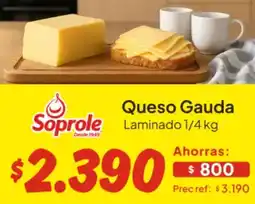 Unimarc Queso gauda laminado oferta