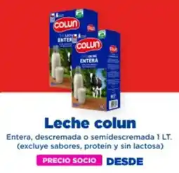 Alvi Colun leche entera, descremado o semidescremado oferta
