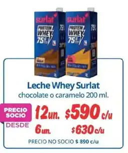 Alvi Surlat leche whey oferta