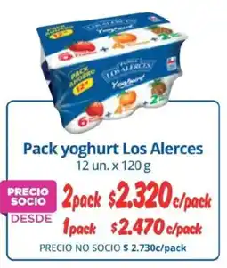 Alvi Los Alerces yoghurt oferta